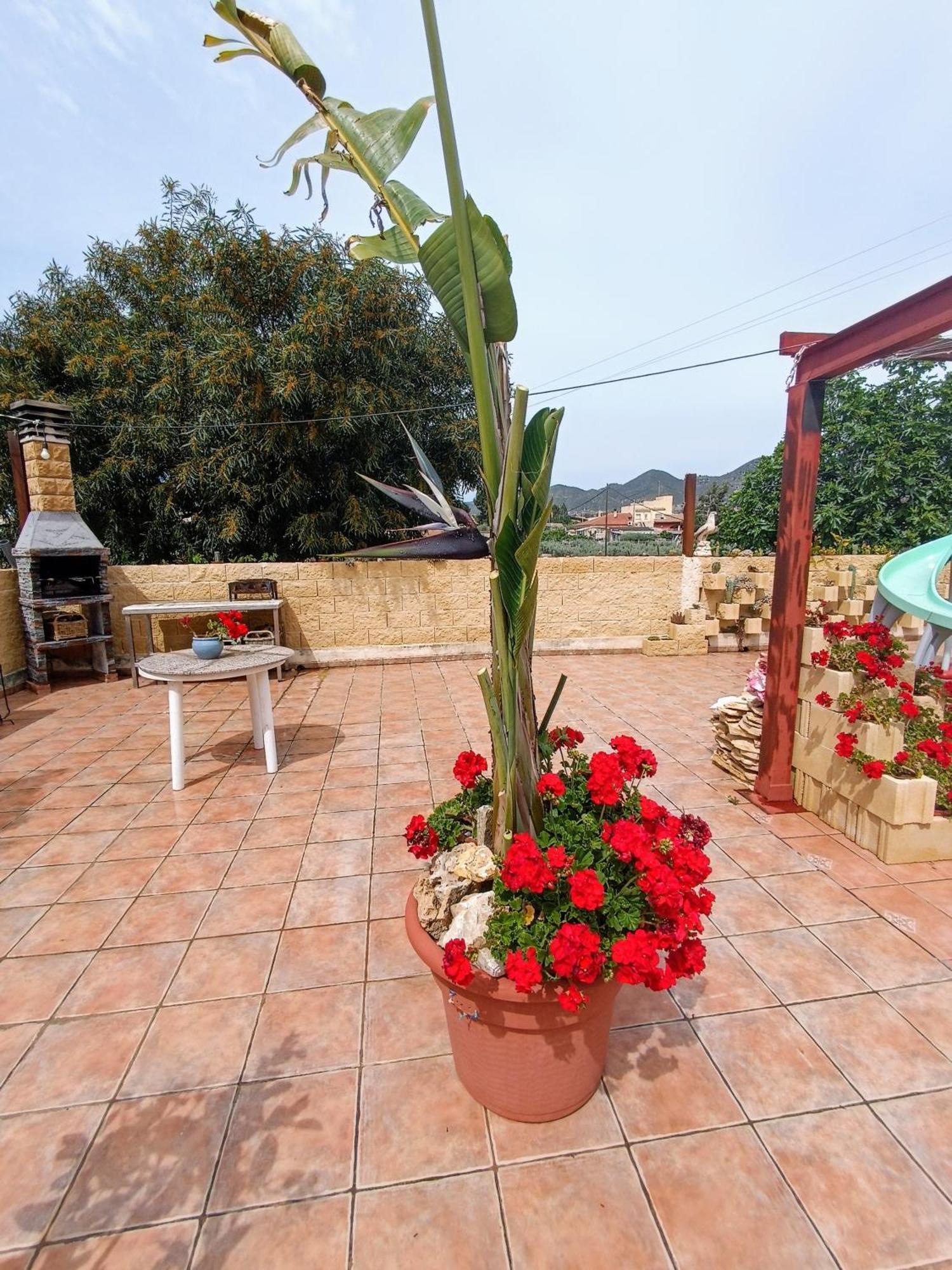 Casa Chalet Venta Ruizo Lorca  Exterior foto