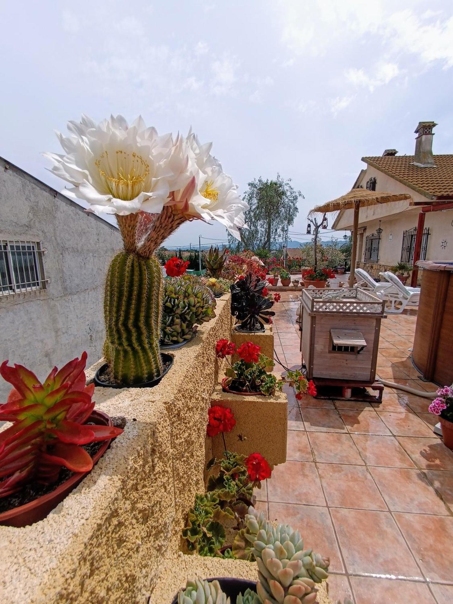 Casa Chalet Venta Ruizo Lorca  Exterior foto
